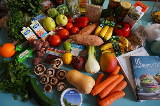 Vegan Diet Vs Vegetarian Diet 