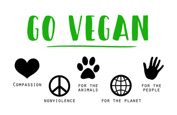 How to become vegan in 10  easy steps